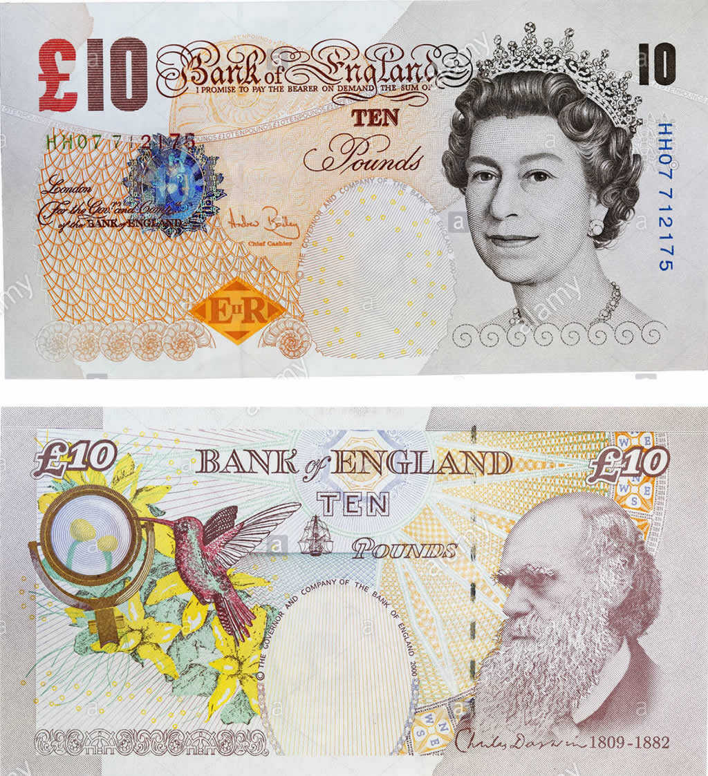 10-sterlin-resmi.jpg